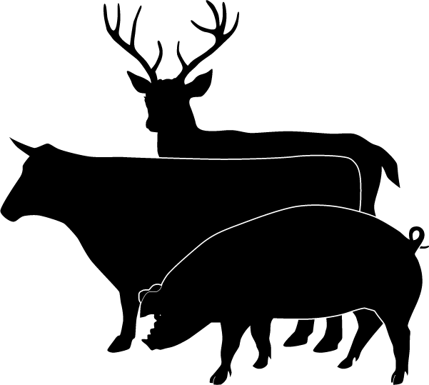 Korte Meat Processing, Inc.